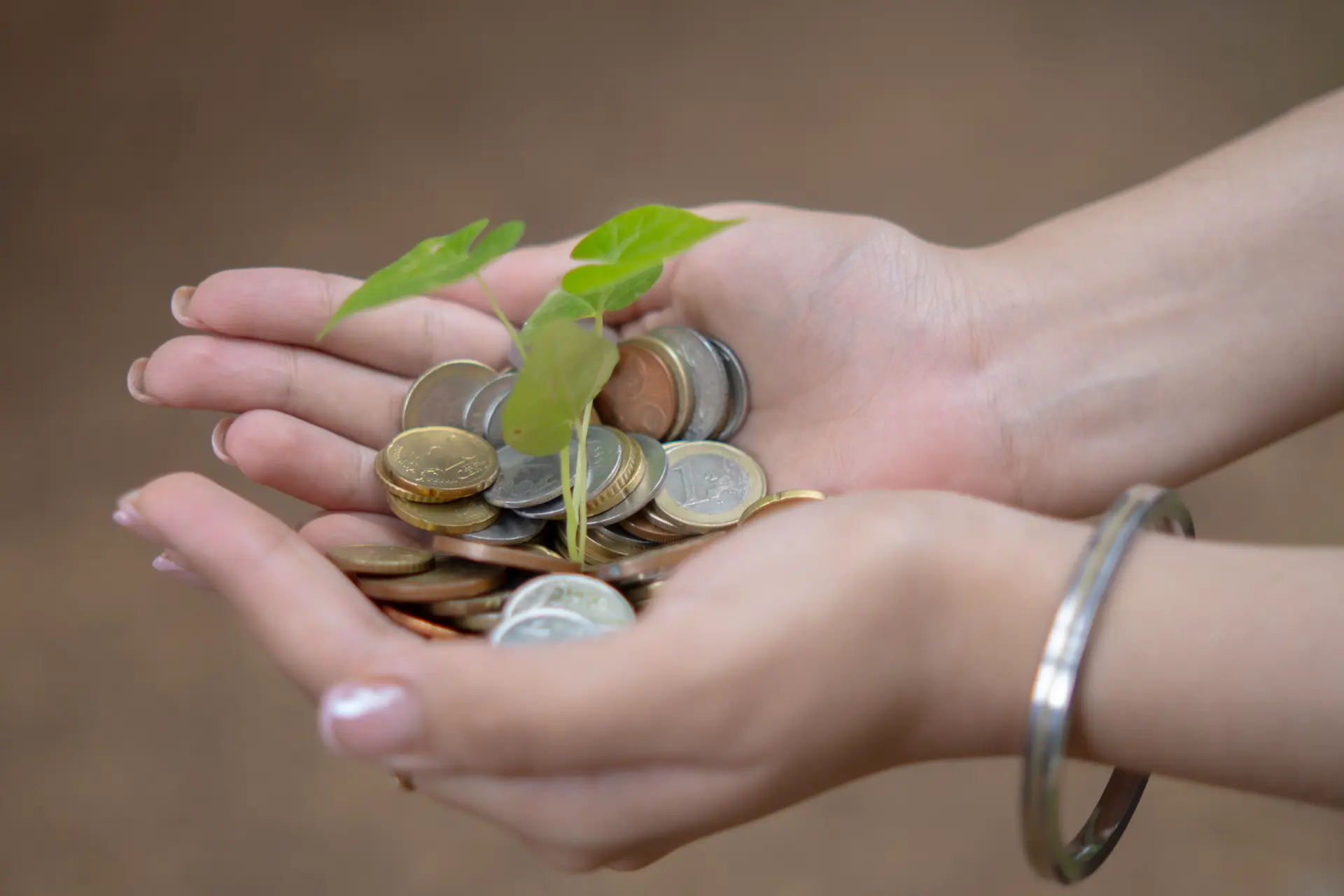 Money & Abundance